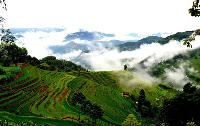 紅河旅游  打卡夏日元陽(yáng)哈尼梯田，暢游綠色仙境