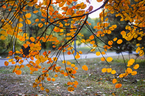 云南文創(chuàng)雪糕火出圈，“雪糕+景點(diǎn)”網(wǎng)紅式打卡驚靚一夏！