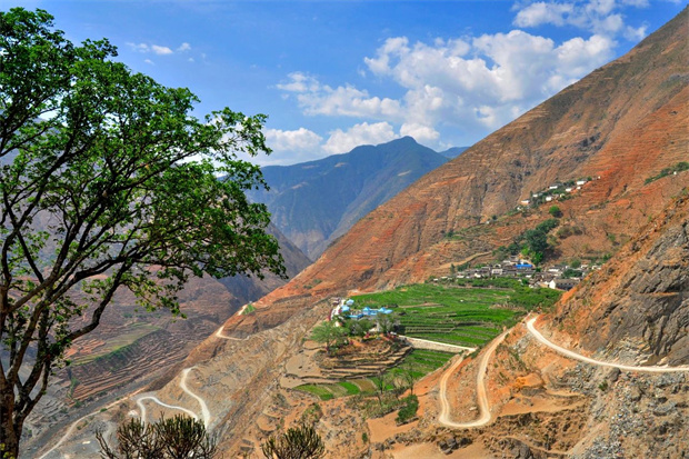 云南旅游,云南旅行社,云南團建公司,云南會議公司,大理旅游,大理旅行社,大理團建公司,大理會議公司：云南第一棵咖啡樹，在哪？